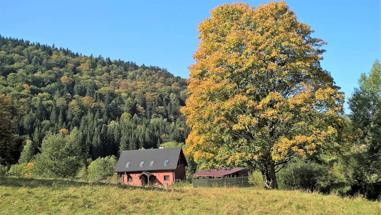 Holiday home Krolikowka *