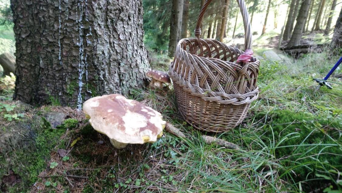 Krolikowka Stronie Slaskie