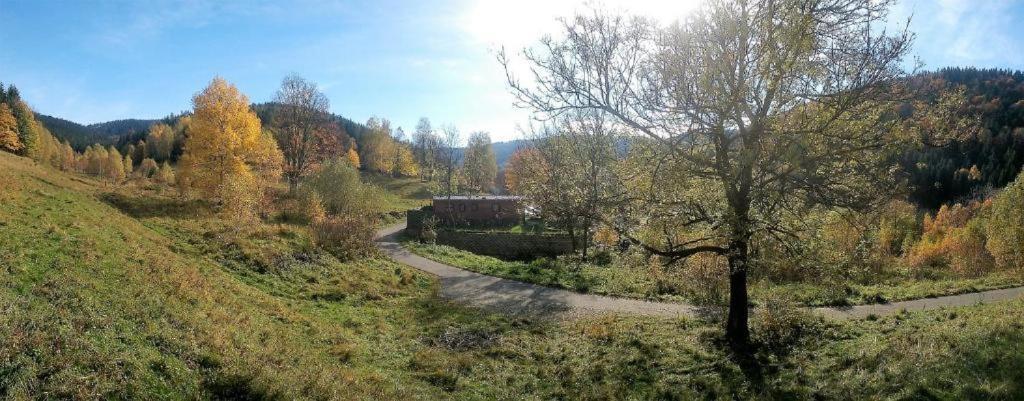 Krolikowka Holiday home *